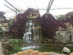 iphone_upload_pic-兰陵国家农业公园