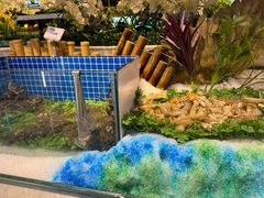 -川骄海鲜自助(河东店)