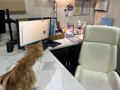 -宠爱国际维尼动物医院·疑难骨科·神经外科·肿瘤科(丰潭路店)