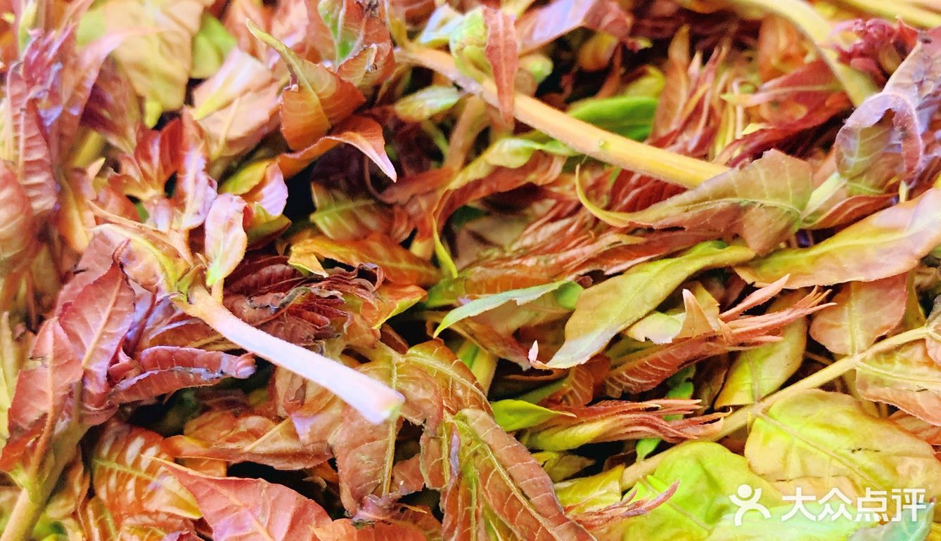 香椿炒鸡蛋[胜利]