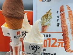 -野人先生现做冰淇淋(西安赛格店)