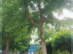 -南长河公园