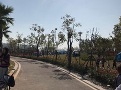-九龙湖公园