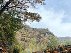 -陕西省红河谷森林公园