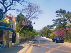 -八大关景区