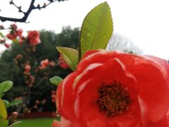 -荆川公园