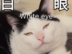 -老翡翠 Old Crystal Jade Restaurant