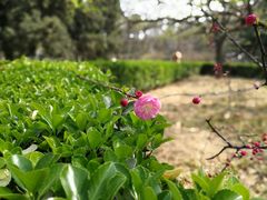 -山东师范大学(千佛山校区)