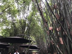 -勐丽梦兰傣味餐厅