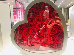 -ROSEONLY诺誓(青岛万象城店)