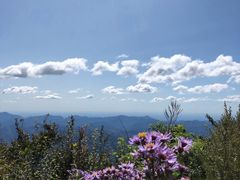 -白草畔自然风景区