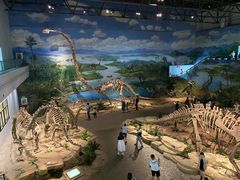 -自贡恐龙博物馆
