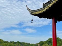 -交通银行(上海莘庄支行)