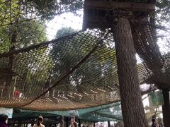 -秀丽东方