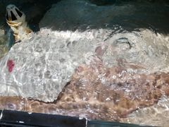 -北戴河庆山饭店·海鲜砂锅粥(北戴河黑石路店)