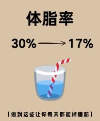 -Fundi张玉珊修身堂·indiba·BTL科技瘦身