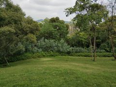 -飞凤山奥体公园