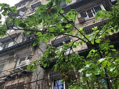-四川大学(望江校区)