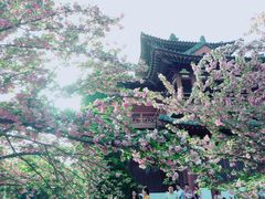 景点-西安青龙寺遗址景区