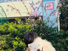 -汪说喵讲宠物乐园宠物酒店(红星美凯龙店)