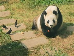 -大连森林动物园