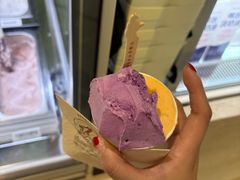 -鹤茶野所(上海首店)