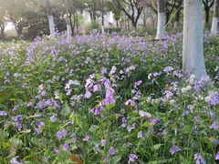 -白塘生态植物园