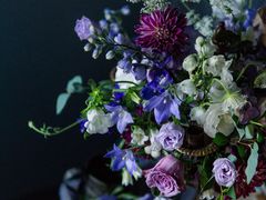 -INSDREAM FLOWER 鲜花预定·花艺培训