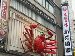 -蟹道乐(道顿堀本店)