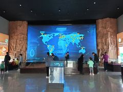 -中国西峡恐龙遗迹园