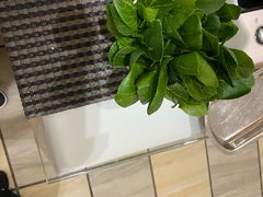 -印象高密·凤都国际大酒店