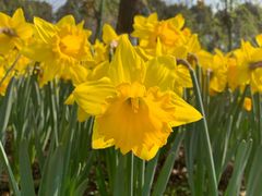 -上海四季花港-停车场