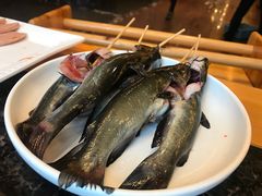 -老码头火锅(骡马市店)