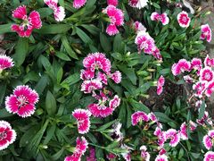 -人民公园(罗湖区)