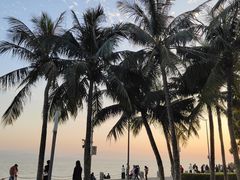-深圳湾公园(南山区)