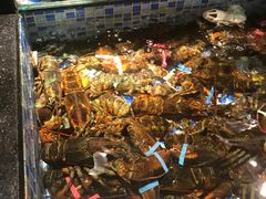 -禄海渔港(九堡店)