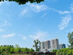 -北龙湖湿地公园