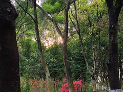 -燕晗山郊野公园