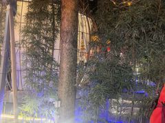 -二荆条·蜀鲜汇城市森林火锅