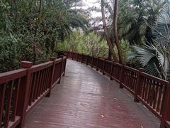 -金鸡岭桥头公园