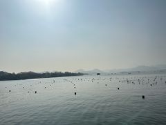 -西湖游船