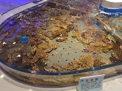 -澜悦港海鲜体验主题餐厅