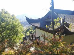 -韬光茶庵