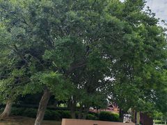 -盘龙城国家考古遗址公园