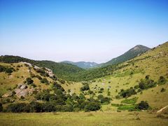 -大姆山草场