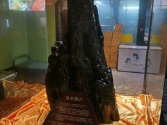-天怡·鱼工厂(临江店)