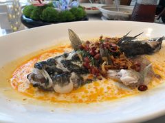 豆酱椒麻笋壳鱼-海味观(老西门店)