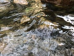 -碓臼峪自然风景区