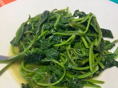 -川正旺江湖菜(三元桥店)