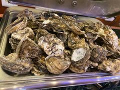 -碧中海汤泉汗蒸酒店